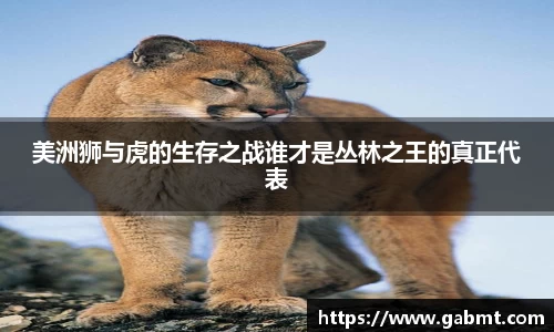星空xk官网